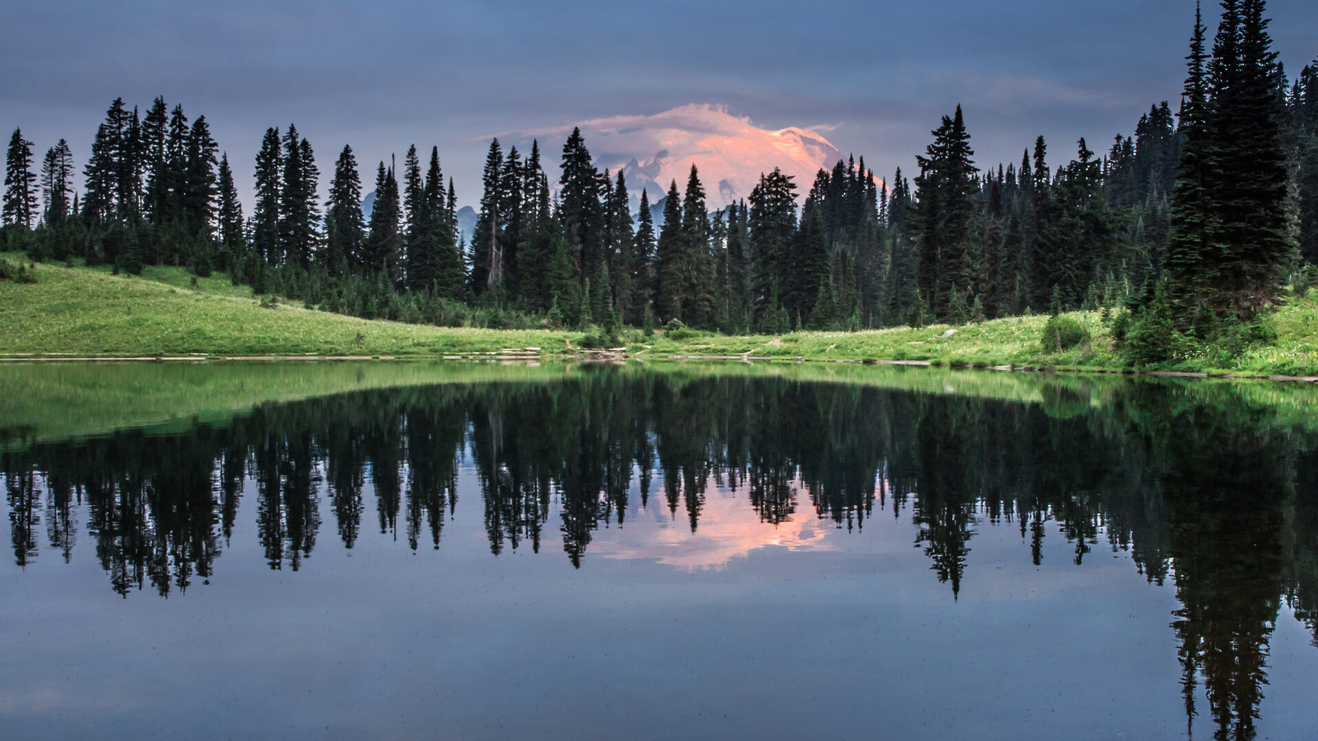 amazon fire stick wallapers iPhone, iPad, iPod Forums at